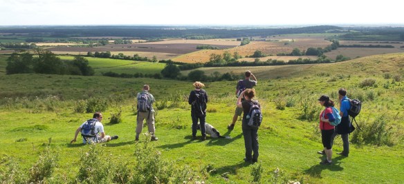 Generic walking group 2